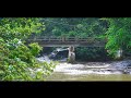 കടവുപുഴയിലെ വെള്ളച്ചാട്ടങ്ങൾ kadavupuzha waterfalls munnilav kottayam hidden waterfalls kerala