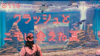 誕生日を水族館で楽しむ夫婦の日常（八戸市水産科学館マリエント）後編