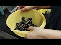 How to clean grapes with baking soda (sodium bicarbonate) Easiest way to clean grapes!