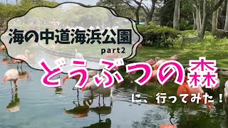 【どうぶつの森】海の中道海浜公園part2 サイクリングでてりはの休日を（チャラッサ：アイランドシティ照葉住民サポーター）