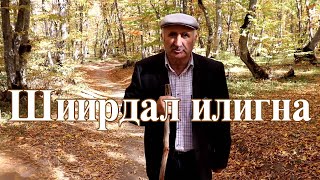 Седакъет Керимова. Шиирдал илигна