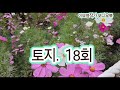 토지. 18회