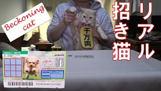 【スクラッチくじ】リアル招き猫の力を借りて挑む！【scratch lot】my real beckoning cat