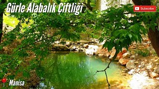 Manisa Gürle Alabalık Çiftliği Tanıtım Filmi | Manisa'da Gezilecek Yerler | Manisa - Turkey | Nature