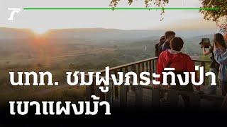 นทท.คึกคัก ชมฝูงกระทิงป่า เขาแผงม้า | 28-11-64 | ข่าวเช้าไทยรัฐ เสาร์-อาทิตย์