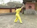 武术教学视频初级长拳