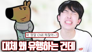 Chill Guy 대체 왜 유행하는 걸까..?