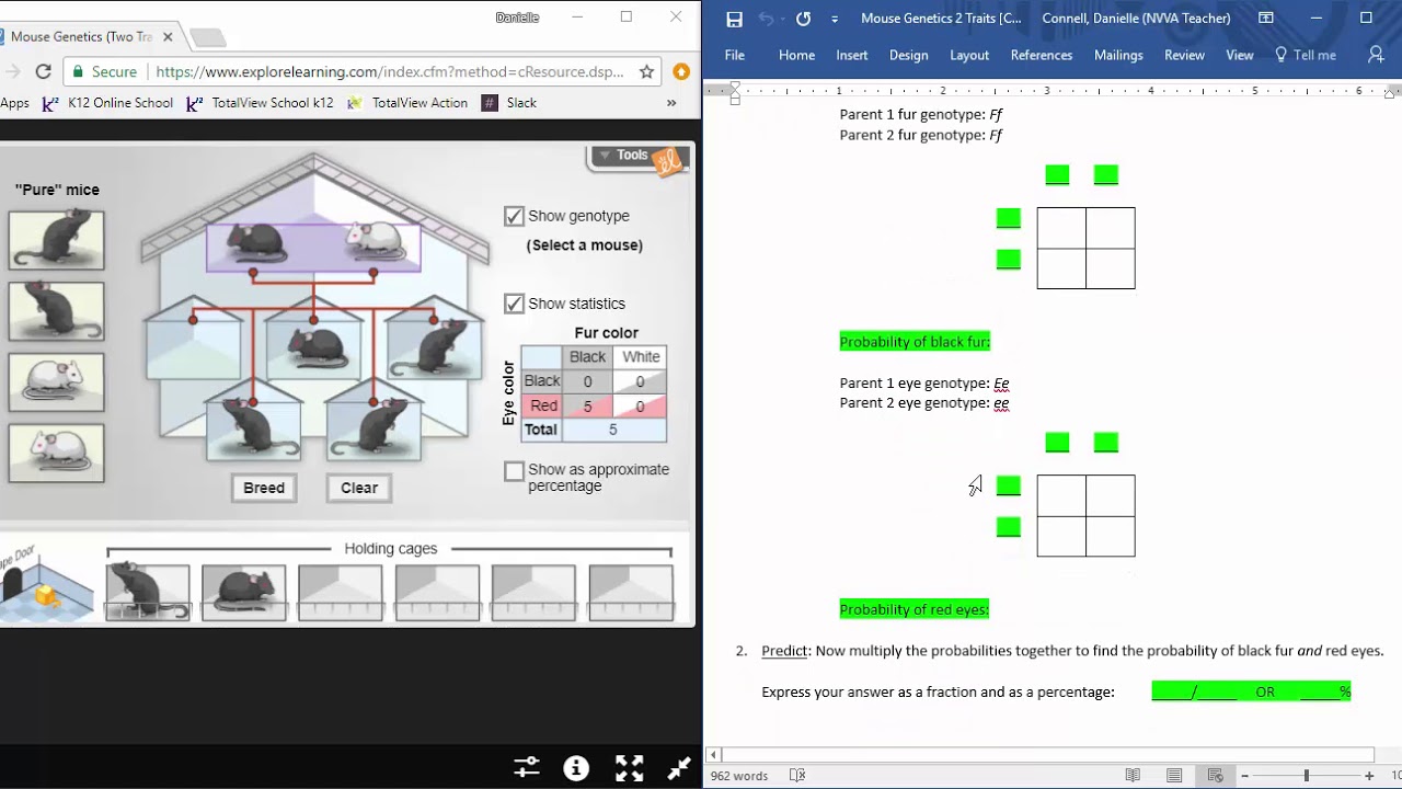 Mouse Genetics (two Traits) Gizmo Answer Key Activity B » Judithcahen ...