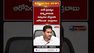 టిడిపి  రావడం తధ్యమని, మత్స్యకారులను ఆదుకుంటామని చంద్రబాబు హామీ | #breakingnews | @viswabharathtv