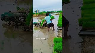 சிறந்த முறையில் நடவு செய்வோம் என பாடல்#agriculture