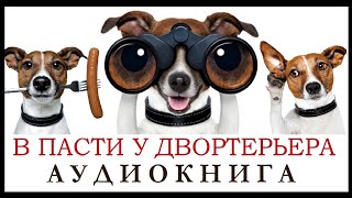 Аудиокнига 🐺В Пасти У Двортерьера🐺Иронический Детектив Альбины Садовской