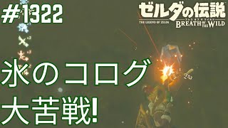 【#1322】氷が溶けない!? モルダバ山のコログ探し[ゼルダの伝説 ブレス オブ ザ ワイルド]