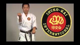 ShitoRyu Kata 4 Intro