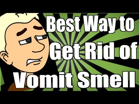 Best Way to Get Rid of Vomit Smell Best Way to Get Rid of Vomit Smell