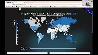 Team 13 Information Visualization Final Project