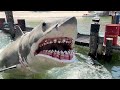 JAWS Summer 2025 Universal Studio Tour Hollywood | Full Experience, 06-12-25