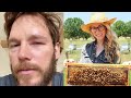 Chris Pratt Blames 'Bee Lady' Erika Thompson For Sting