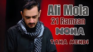 21 Ramzan Mola Ali Shahadat Noha 2023 | HAAYE ALI MOLA HAAYE ALI MOLA | Syed Taha Mehdi Nohay 2023