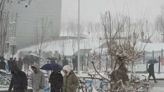 Snow in March in Urumqi, Xinjiang 新疆乌鲁木齐三月下雪🌨️