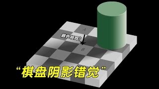 Seeing must be believing? The ”chessboard shadow illusion” that deceives the eye