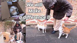 This lady will receive the warmest welcome from cats for caring for their kittens.