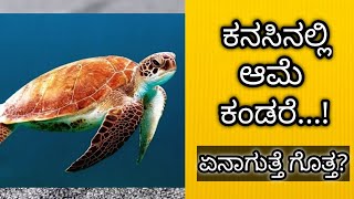 ಕನಸಿನಲ್ಲಿ ಆಮೆ ಬಂದರೆ || Kanasinalli Ame Bandare || Tortoise or Turtle in Dream Hindu Meaning