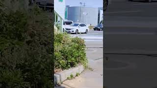 ビッグモーター加古川店前だけ大きな街路樹がない（比較映像）　Bigmotor Company Used Herbicide to Kill Public Street Trees