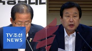 홍준표 15일 귀국·김무성 대구 행…대표 출마 몸풀기?