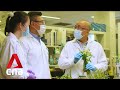 Singapore scientists tap on plants and ecosystems to prevent, fight diseases
