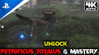 Hogwarts Legacy: Unlock ESSENTIAL (Petrificus Totalus) \u0026 Mastery at Level 22 Guide [4K 60FPS]