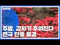 [날씨] 주말, 갑자기 추워진다...전국 단풍 물결 / YTN