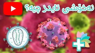 نەخۆشی ئایدز چیە - بەکورتی