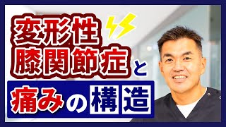 変形性膝関節症の症状と痛みの構造