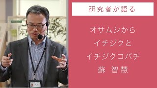 生命誌レクチャー　 蘇 智慧（JT生命誌研究館）