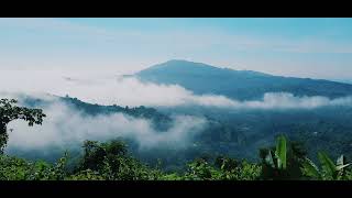 মেঘের রাজ্য নীলাচল বান্দরবান| Nilachal Bandarban