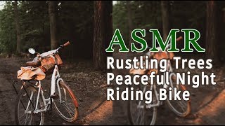 ASMR Meditation White Noise 冥想白噪音 -Trees rustling/Bike/Countryside 3D Ambient sound good sleep