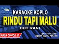 RINDU TAPI MALU KARAOKE KOPLO - NADA PRIA (CUT RANI)