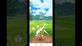 Mega Beedrill Vs Grunt