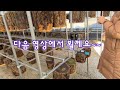 12. 2022.12.18. 상황버섯농장 풍경