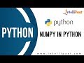 NumPy in Python | Python Tutorial | Learn Python | Python Course | Intellipaat