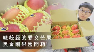 無毒農開箱囉｜黑金剛果園－愛文芒果開箱 feat.產地直送