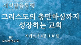 [ 수서동행교회 새벽말씀동행 #858 ] 그리스도의 충만하심까지 성장하는 교회