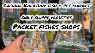 Imported Guppies @ wholesale price only these shops | Chennai Kolathur fish market #fishpetfun