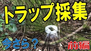 【クワガタ＆カブトムシ★昆虫採集　ワクワク！トラップ採集してみましょう！前編】（くろねこチャンネル）