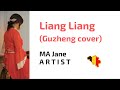 Liang Liang 凉凉 (Guzheng cover 古筝)