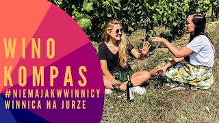 #NIEMAJAKWWINNICY - WINNICA NA JURZE