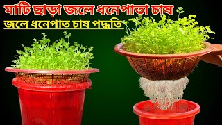 How to grow coriander in water ll জলে ধনেপাতা চাষ