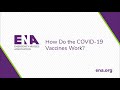 ena how do the covid 19 vaccines work