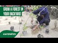 How to grow a forest in your backyard | SHUBHENDU SHARMA