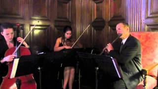 LA String Trio/Quartet Musicians